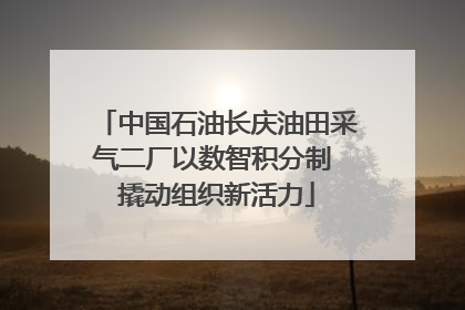 中国石油长庆油田采气二厂以数智积分制 撬动组织新活力