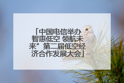 中国电信举办“智惠低空 领航未来”第二届低空经济合作发展大会
