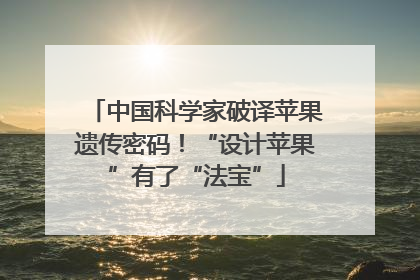 中国科学家破译苹果遗传密码！“设计苹果”有了“法宝”