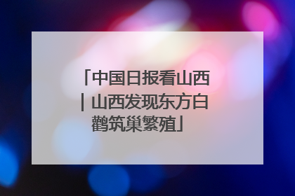 中国日报看山西｜山西发现东方白鹳筑巢繁殖