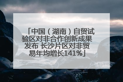 中国（湖南）自贸试验区对非合作创新成果发布 长沙片区对非贸易年均增长141%
