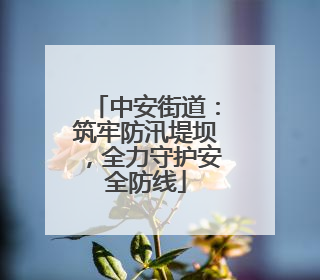 中安街道：筑牢防汛堤坝，全力守护安全防线