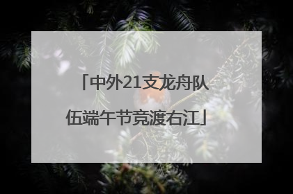 中外21支龙舟队伍端午节竞渡右江