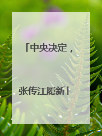 中央决定，张传江履新