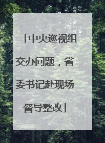 中央巡视组交办问题，省委书记赴现场督导整改