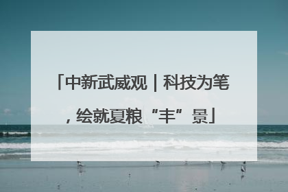 中新武威观｜科技为笔，绘就夏粮“丰”景