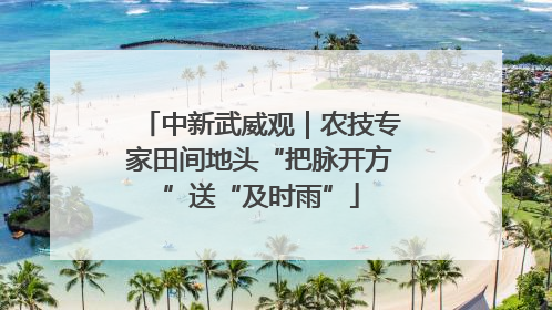 中新武威观｜农技专家田间地头“把脉开方”送“及时雨”