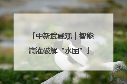 中新武威观｜智能滴灌破解“水困”