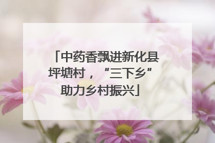 中药香飘进新化县坪塘村，“三下乡”助力乡村振兴