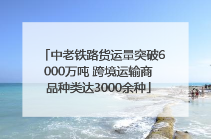 中老铁路货运量突破6000万吨 跨境运输商品种类达3000余种