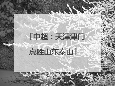 中超：天津津门虎胜山东泰山