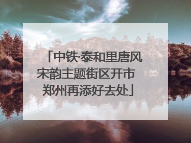 中铁·泰和里唐风宋韵主题街区开市 郑州再添好去处
