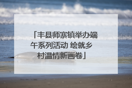 丰县师寨镇举办端午系列活动 绘就乡村温情新画卷