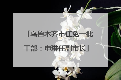 乌鲁木齐市任免一批干部：申琳任副市长