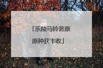 乐陵马铃薯原原种获丰收