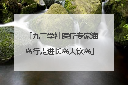 九三学社医疗专家海岛行走进长岛大钦岛
