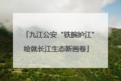 九江公安“铁腕护江”绘就长江生态新画卷