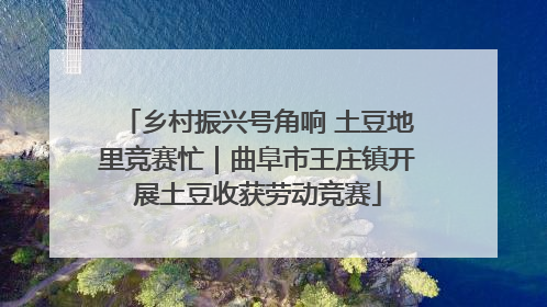 乡村振兴号角响 土豆地里竞赛忙｜曲阜市王庄镇开展土豆收获劳动竞赛