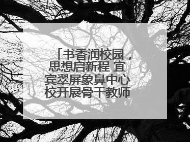 书香润校园，思想启新程 宜宾翠屏象鼻中心校开展骨干教师读书分享活动