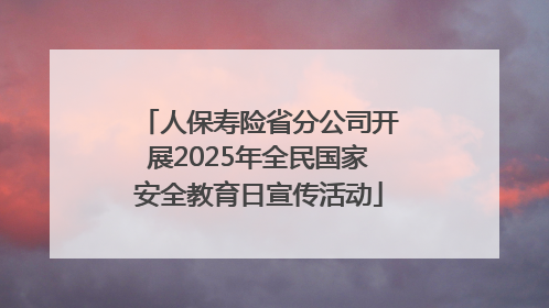人保寿险省分公司开展2025年全民国家安全教育日宣传活动