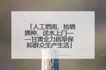 人工增雨、抢墒播种、送水上门——甘肃全力抗旱保障群众生产生活