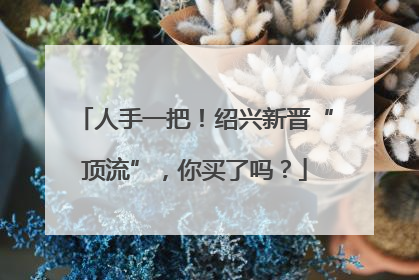 人手一把！绍兴新晋“顶流”，你买了吗？