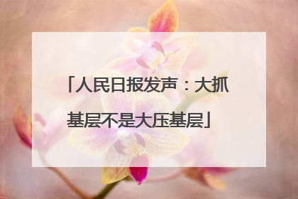 人民日报发声：大抓基层不是大压基层
