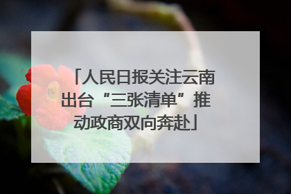人民日报关注云南出台“三张清单”推动政商双向奔赴
