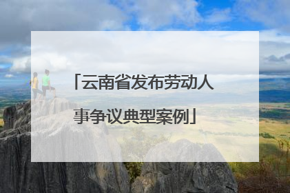 云南省发布劳动人事争议典型案例