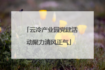 云冷产业园党建活动聚力清风正气