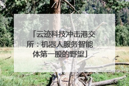 云迹科技冲击港交所：机器人服务智能体第一股的野望