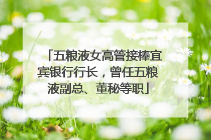 五粮液女高管接棒宜宾银行行长，曾任五粮液副总、董秘等职