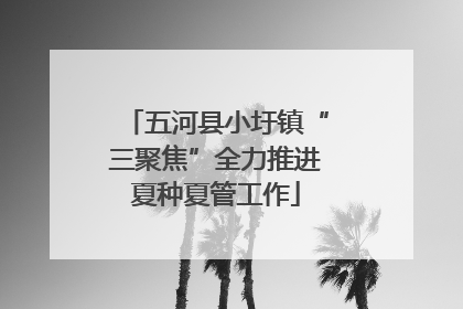 五河县小圩镇“三聚焦”全力推进夏种夏管工作