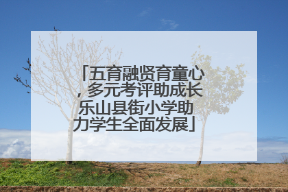 五育融贤育童心，多元考评助成长 乐山县街小学助力学生全面发展