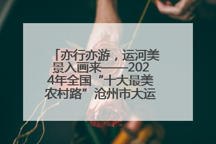 亦行亦游，运河美景入画来——2024年全国“十大最美农村路”沧州市大运河堤顶路探访