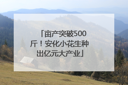 亩产突破500斤！安化小花生种出亿元大产业