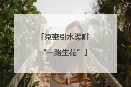 京密引水渠畔“一路生花”