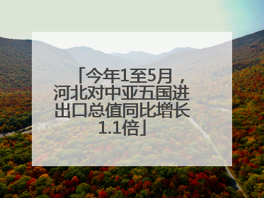 今年1至5月，河北对中亚五国进出口总值同比增长1.1倍