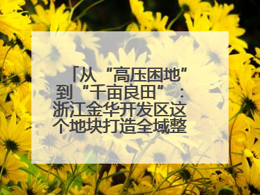 从“高压困地”到“千亩良田”：浙江金华开发区这个地块打造全域整治示范样本