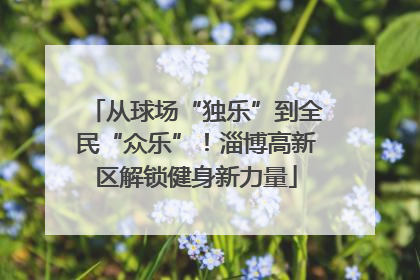 从球场“独乐”到全民“众乐”！淄博高新区解锁健身新力量