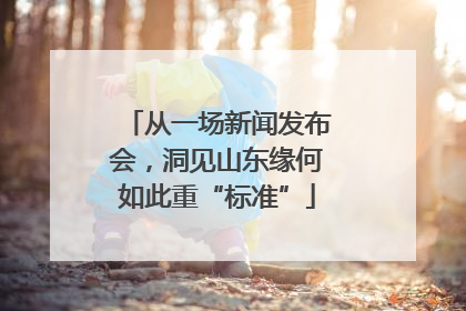 从一场新闻发布会，洞见山东缘何如此重“标准”