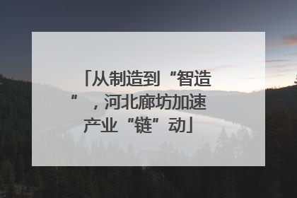 从制造到“智造”，河北廊坊加速产业“链”动