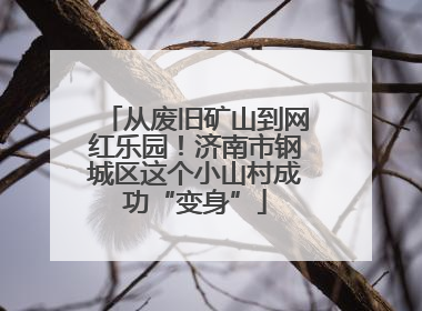 从废旧矿山到网红乐园！济南市钢城区这个小山村成功“变身”