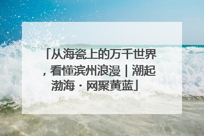 从海瓷上的万千世界，看懂滨州浪漫｜潮起渤海・网聚黄蓝