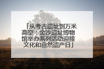 从考古遗址到万米高空：金沙遗址博物馆举办系列活动迎接文化和自然遗产日