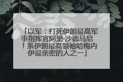 以军：打死伊朗最高军事指挥官阿里·沙德马尼！系伊朗最高领袖哈梅内伊最亲密的人之一