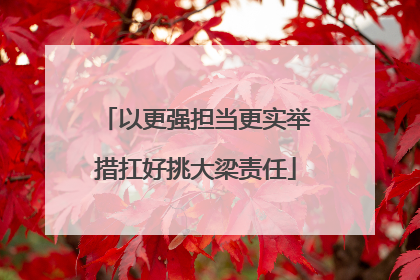 以更强担当更实举措扛好挑大梁责任