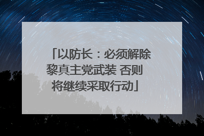 以防长：必须解除黎真主党武装 否则将继续采取行动