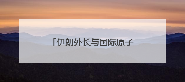 伊朗外长与国际原子能机构总干事同日到访开罗 讨论伊核问题