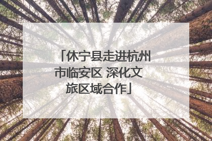 休宁县走进杭州市临安区 深化文旅区域合作